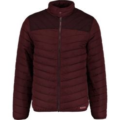 Kurtki męskie: BONOBO Jeans DOUDOULIGH Kurtka przejściowa fudge
