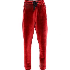 Bryczesy damskie: Ivy Park Spodnie treningowe chilli red