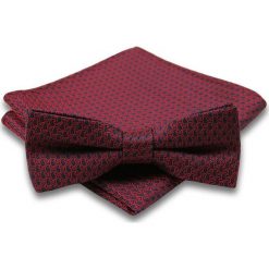 Elegancka mucha i poszetka Alties MUALTS0061. Muszki męskie Alties, na imprezę, w paski, eleganckie. Za 40,00 zł.