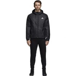 MĘSKA KURTKA ADIDAS CYTNIS (M). Kurtki męskie Adidas, na jesień, m, bez wzorów, z poliesteru, bez kaptura. W wyprzedaży za 249,99 zł.