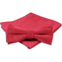 Modna Mucha Męska - Alties - Czerwona MUALTS0222. Czerwone muszki męskie Alties, na imprezę, w paski, eleganckie. Za 39,00 zł.