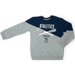 Bluza w kolorze szarym. Szare bluzy chłopięce Street Monkey, z bawełny. W wyprzedaży za 49,95 zł.