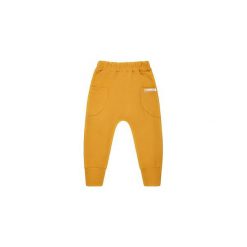 Spodnie baggy musztardowe rozmiar - 92. Pomarańczowe spodnie męskie MammaMia, bez wzorów, z elastanu. Za 59,00 zł.