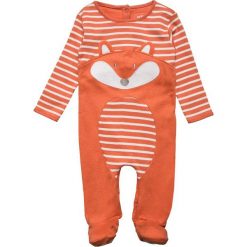 Bielizna chłopięca: JoJo Maman Bébé FOX SLEEPSUIT BABY Piżama russet