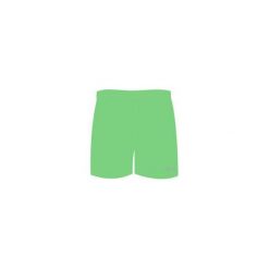Kąpielówki chłopięce: AQUAWAVE Szorty MAGNETIC KIDS SUMMER GREEN r. 134
