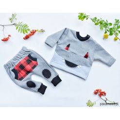 Komplet dla dziecka Wilczek, dres. Szare bluzy niemowlęce marki Pakamera, z aplikacjami, z bawełny, z kapturem. Za 189,00 zł.