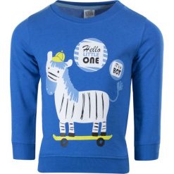TXM BLUZA NIEMOWLĘCA CHŁOPIĘCA SPORT 98 NIEBIESKI. Niebieskie bluzy niemowlęce TXM, bez wzorów, sportowe, bez rękawów, bez kaptura. Za 14,99 zł.