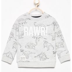 Bluza z nadrukiem dinozaurów - Beżowy. Brązowe bluzy chłopięce marki Reserved, z nadrukiem. W wyprzedaży za 29,99 zł.