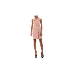 Sukienki krótkie Elisabetta Franchi AB88796E2. Różowe sukienki damskie Elisabetta Franchi, bez wzorów, bez kołnierzyka, z krótkim rękawem, krótkie, mini. Za 1336,26 zł.