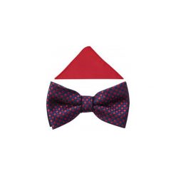 Granatowa mucha w czerwone kwadraty A339. Czerwone muszki męskie Adam Collection - Krawaty i dodatki, na co dzień, bez wzorów, z bawełny, eleganckie. Za 49,50 zł.
