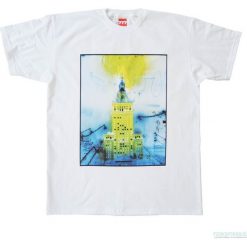 Koszulka PAŁAC. Szare t-shirty damskie Pakamera. Za 77,00 zł.