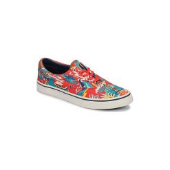 Buty Polo Ralph Lauren THRTN III NE. Szare trampki męskie Polo Ralph Lauren, bez wzorów, bez zapięcia. Za 389,00 zł.