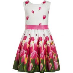 Sukienki dziewczęce: happy girls TULPE Sukienka koktajlowa pink
