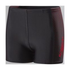 Kąpielówki chłopięce: Speedo Kąpielówki Chłopięce Gala Logo Pnl Asht Jm Black r. 164 (8113413268)