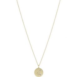 Naszyjniki damskie: Pilgrim AQUARIUS Naszyjnik goldcoloured/crystal