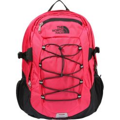 Plecaki męskie: The North Face BOREALIS CLASSIC Plecak bryrd/black