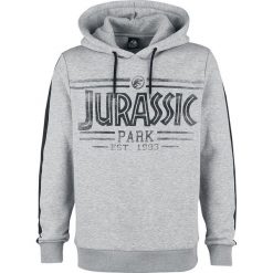 Jurassic Park Logo Bluza z kapturem odcienie szarego. Brązowe bluzy męskie rozpinane marki Black Premium by EMP, xxl, z kapturem. Za 164,90 zł.