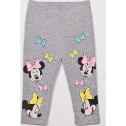 Blukids - Legginsy dziecięce Disney Minnie Mouse 98-128 cm. Szare legginsy dziewczęce Blukids, z nadrukiem, z elastanu. W wyprzedaży za 19,90 zł.
