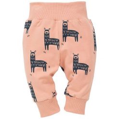 Pinokio Śpioszki Dziecięce Happy Llama 62 Różowe/Niebieskie. Różowe śpiochy niemowlęce Pinokio, bez wzorów, z jeansu. Za 35,00 zł.