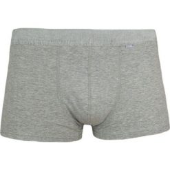Popielate, Szare Klasyczne Męskie Bokserki, Bawełna z Elastanem -PAKO JEANS- Obcisłe MAJBPJNSROCKYpp. Szare majtki męskie Pako Jeans, m, z elastanu. Za 24,00 zł.