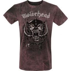 T-shirty męskie: Motörhead Everything Louder T-Shirt szary/czerwony