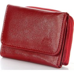 P109 czerwona skórzana portmonetka damska - Czerwony. Czerwone portfele damskie ze skóry. Za 55,99 zł.