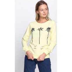 Jasnożółta Bluza Beach California. Żółte bluzy damskie Born2be, m. Za 34,99 zł.