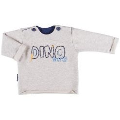 Ewa Klucze Bluza Chłopięca Dino 74 Szary. Szare bluzy chłopięce rozpinane marki Ewa Klucze. W wyprzedaży za 32,00 zł.