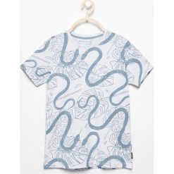 T-shirty chłopięce: T-shirt z egzotycznym nadrukiem – Jasny szar
