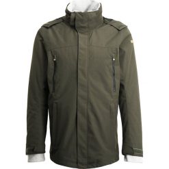Kurtki sportowe męskie: Icepeak TEX Kurtka zimowa dark olive