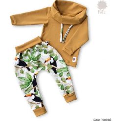 Bluza z funkcją zapięcia na smoczek - tukany. Brązowe bluzy niemowlęce Pakamera. Za 90,00 zł.