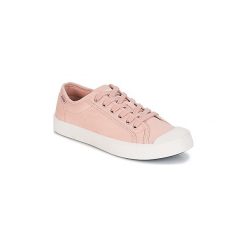 Trampki męskie: Buty Palladium PALLAPHOENIX OG CVS