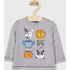 Blukids - T-shirt dziecięcy 68-98 cm. T-shirty chłopięce Blukids. W wyprzedaży za 19,90 zł.