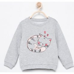 Bluza z kotkiem - Jasny szar. Szare bluzy niemowlęce marki Reserved. Za 19,99 zł.