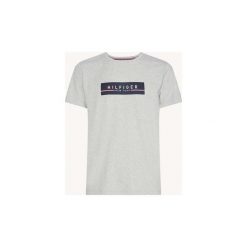 T-shirty z krótkim rękawem Tommy Hilfiger MW0MW09818 PRINT TEE. Szare t-shirty męskie TOMMY HILFIGER, xl, bez wzorów, bez kołnierzyka, krótkie. Za 131,30 zł.