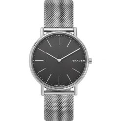 Zegarek SKAGEN - Signatur Titanium SKW6483 Silver/Silver. Szare zegarki męskie Skagen. Za 719,00 zł.