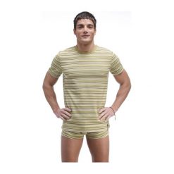 T-shirty męskie: Koszulka Keeth 20846