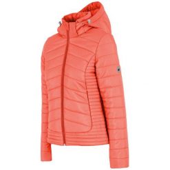 4F Damska Kurtka H4Z17 kud004 Koralowy Xs. Pomarańczowe kurtki sportowe damskie 4f, na zimę, xs, bez wzorów, z puchu, eleganckie, bez kaptura. W wyprzedaży za 179,00 zł.