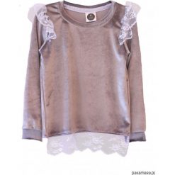 Bluzy dziewczęce: Bluza VELOUR wings lance