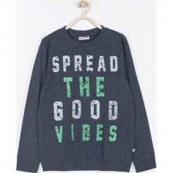 Koszulka. Szare t-shirty chłopięce BELIEVE IN TODAY, z aplikacjami, z bawełny, z długim rękawem. Za 39,90 zł.