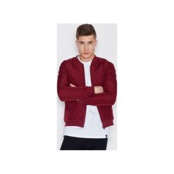 Kurtki męskie: Kurtka V012 Bordo