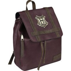 Harry Potter Hogwarts Plecak czerwony. Czerwone plecaki męskie marki Harry Potter, bez wzorów. Za 244,90 zł.