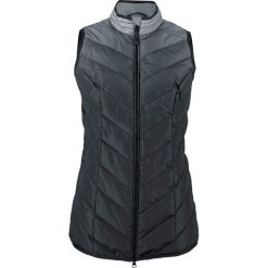 Kamizelka ocieplana w cieniowanym kolorze bonprix czarno-srebrnoszary. Czarne kamizelki damskie bonprix. Za 69,99 zł.