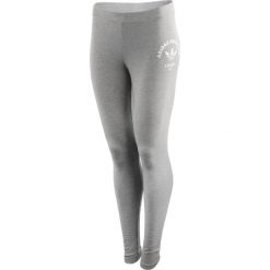 Legginsy sportowe damskie: legginsy sportowe damskie ADIDAS TIGHTS / AY6644