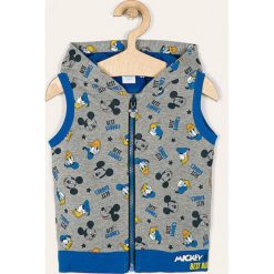 Blukids - Bezrękawnik dziecięcy 74-98 cm. Szare kurtki chłopięce Blukids, bez wzorów, z bawełny, z kapturem. W wyprzedaży za 59,90 zł.