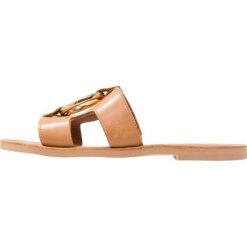 Klapki damskie: Pavement LIV BUCKLE Klapki tan