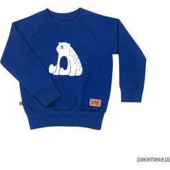 Bluzy chłopięce: bluza misiu siedzi