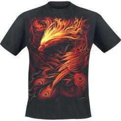 Spiral Phoenix Arisen T-Shirt czarny. Czarne koszulki męskie Spiral, l, z nadrukiem, z bawełny, z okrągłym kołnierzem. Za 74,90 zł.