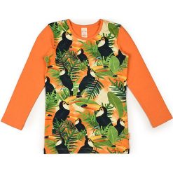 T-shirty chłopięce z długim rękawem: Koszulka w kolorze pomarańczowo-zielono-czarnym