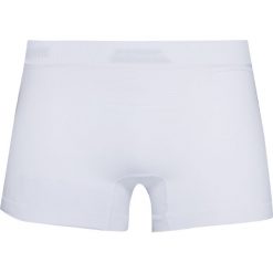 Bokserki X-BIONIC ENERGIZER SUMMERLIGHT TONE. Białe slipy męskie termoaktywne X BIONIC, bez wzorów, ze skóry. W wyprzedaży za 120,00 zł.